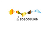 sco-gurin.ch